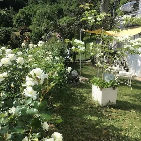 Апартаменты Rose *