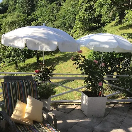 Апартаменты Rose *