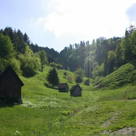 Апартаменты Rose Форбаш