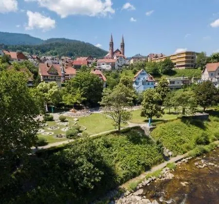 Апартаменты Rose *